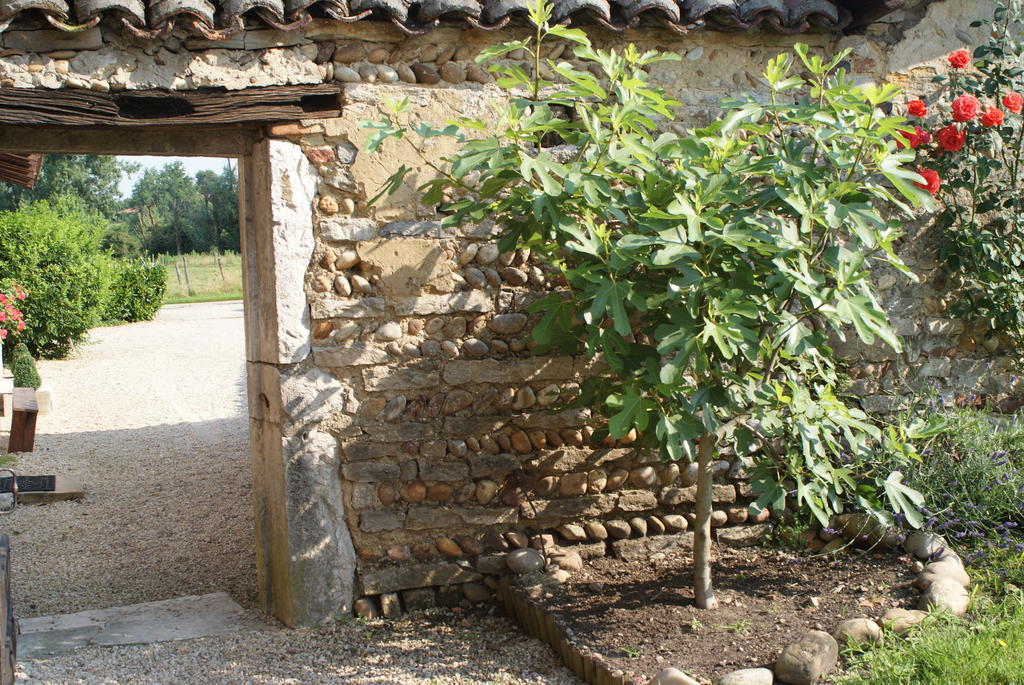 Le Moulin De Champagne Panzió Viriat Kültér fotó